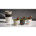 APS Lineo Bowls White 90ml (6 Pack) APS