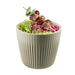 APS Lineo Bowls Grey 180ml (6 Pack) APS