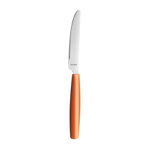 Amefa PIXEL Table Knives Orange (12 Pack) Amefa