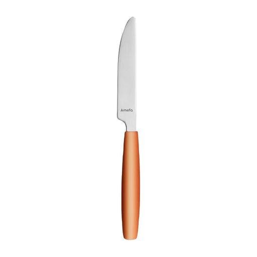 Amefa PIXEL Dessert Knives Orange (12 Pack) Amefa