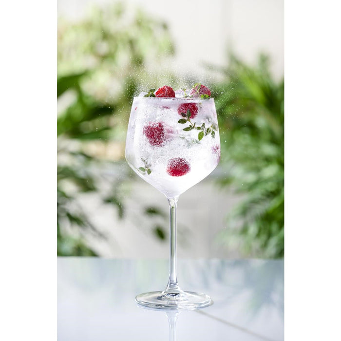 Royal Leerdam Specials Cocktails Tall Stem Gin Glasses 650ml/23oz (6 Pack) Royal Leerdam