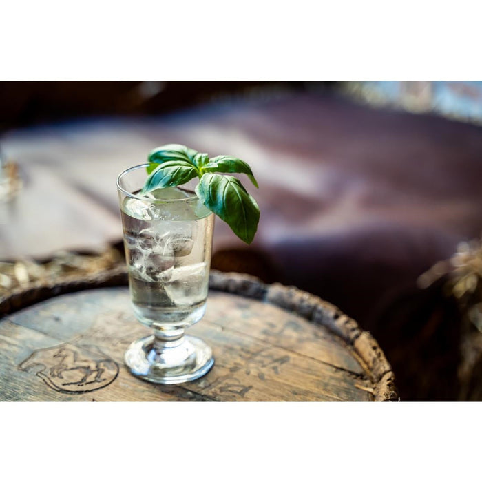 Embassy Footed - 296ml (Pack 24) (B2B) Libbey