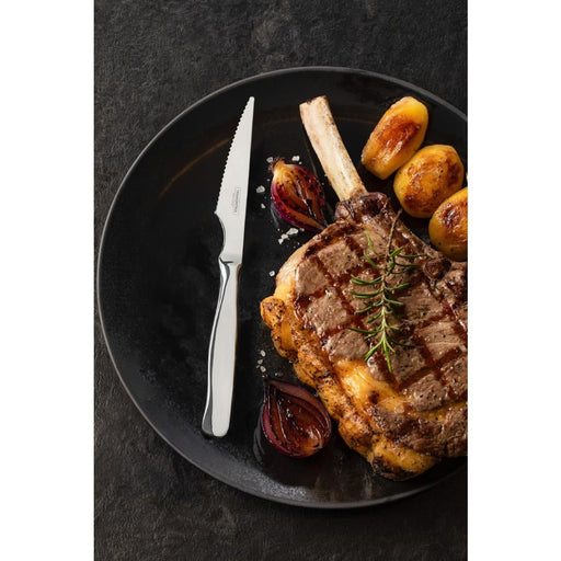 Steak Knife - 220mm (Pack 12) (B2B) Tramontina