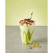Simply Pistachio Syrup 1Ltr Simply