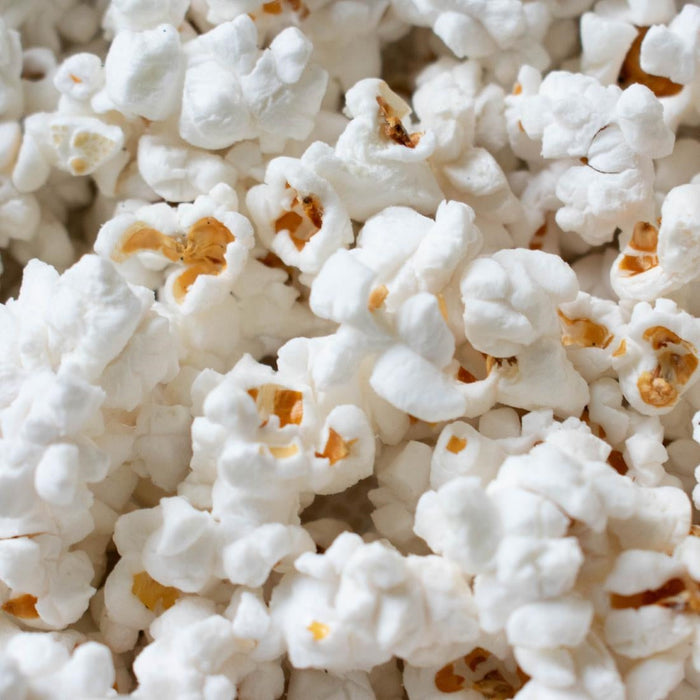 Popcorn Shed Sea Salted Mini Pop! Single Serve Bag 20g (24 Pack) Popcorn Shed
