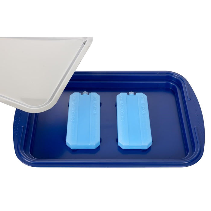 APS Cooling Display Tray and Cover APS