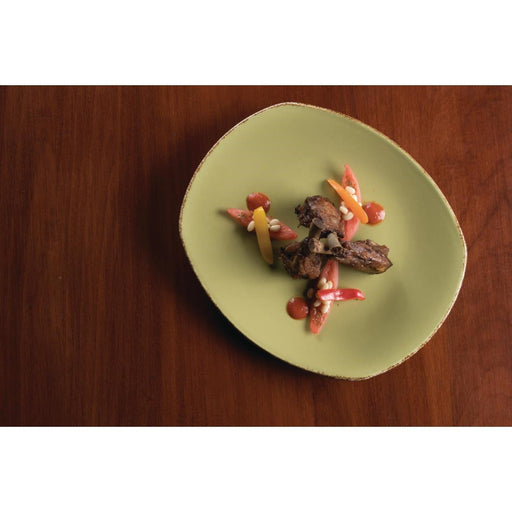 Steelite Terramesa Olive Spice Plates 202mm (24 Pack) Steelite