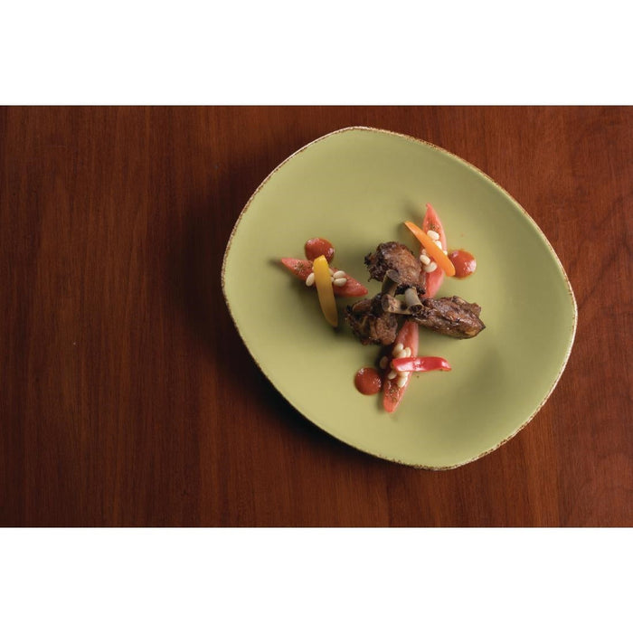 Steelite Terramesa Olive Spice Plates 202mm (24 Pack) Steelite