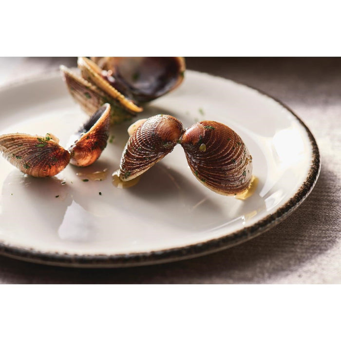 Steelite Charcoal Dapple Coupe Plates 202mm (24 Pack) Steelite