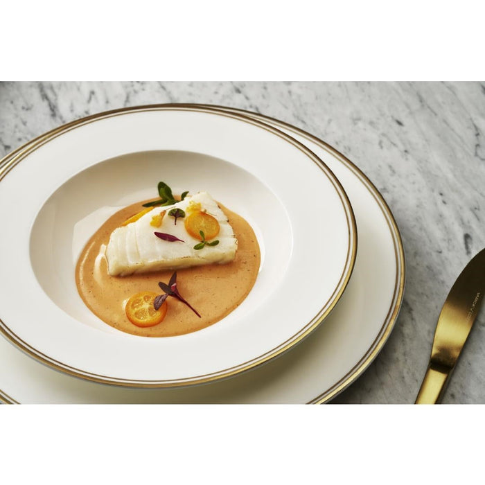 William Edwards Burnished Gold Plates 220mm (12 Pack) Steelite