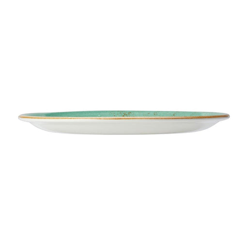 Steelite Craft Aqua Coupe Plates 280mm (12 Pack) Steelite